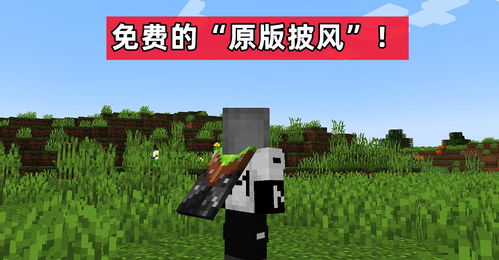 你是我心上的荆棘 
