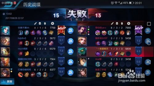 王者荣耀极光辅助 