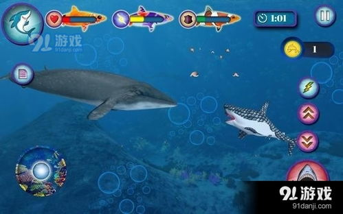 鲨鱼模拟器3D 
