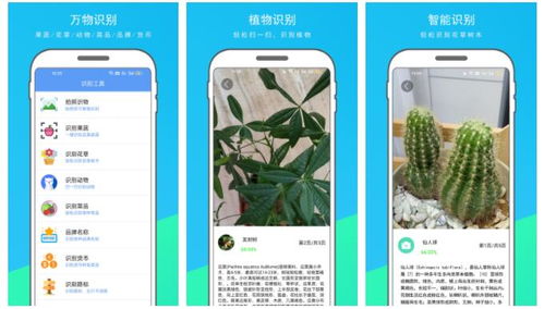 拍照识万物专业版下载v1.508 