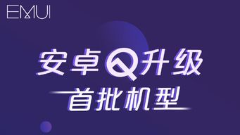 V20系统安卓Q,探索全新智能体验的奥秘