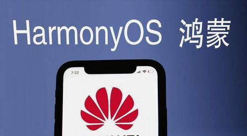 鸿蒙系统怎么有安卓标识,为何仍保留安卓标
