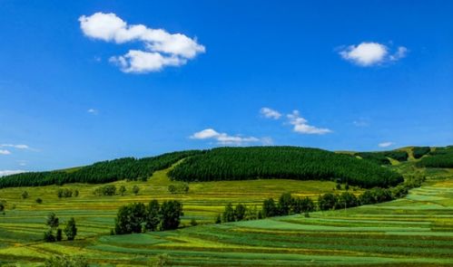 张北草原攻略系统和安卓,安卓系统下的草原