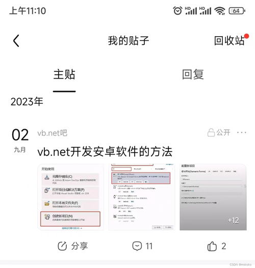安卓系统如何设置net模式,安卓系统Ne