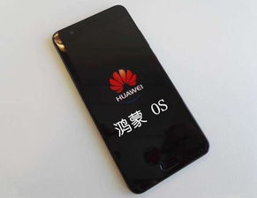 华为系统安卓系统app开发者