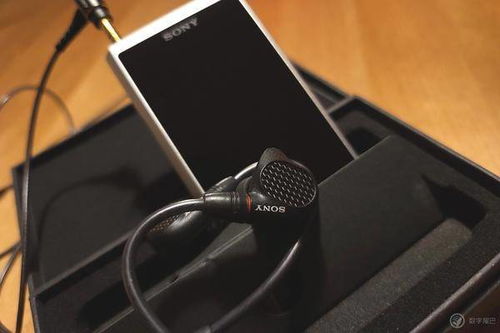 安卓系统sony播放器,探索索尼安卓系统