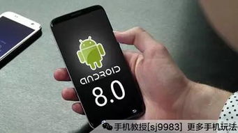安卓8系统正式推送时间