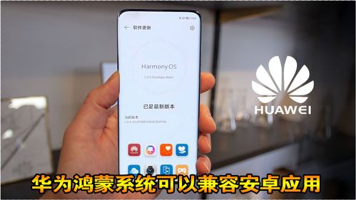 鸿蒙系统应用安卓能用吗,鸿蒙系统应用在安