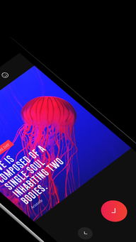 安卓系统不配开启VUE会员,探索免费使用