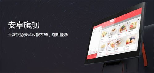 银豹智能收银系统安卓,安卓平台高效便捷的
