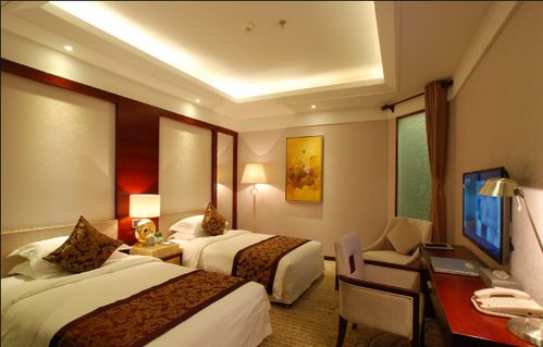 酒店拍照攻略系统和安卓,安卓系统下的完美