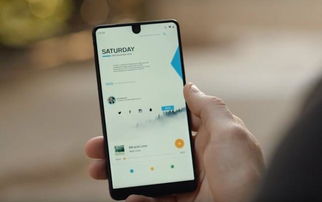 安卓机还有个系统吗