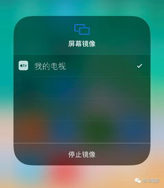 安卓车载系统镜像投屏,安卓车载系统镜像投屏技术解析与应用